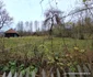 Statiunea montana Parang Foto Daniel Guță (51) jpg