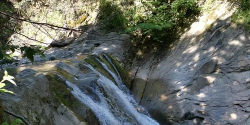 cascada madalina surdulescu jpg