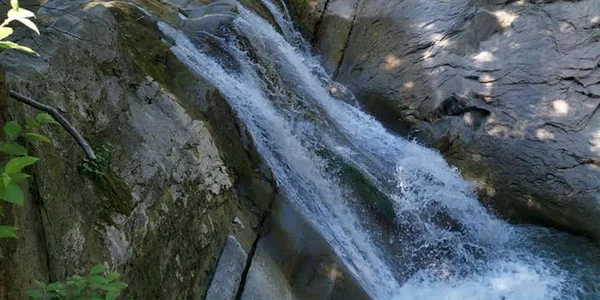 cascada madalina surdulescu jpg
