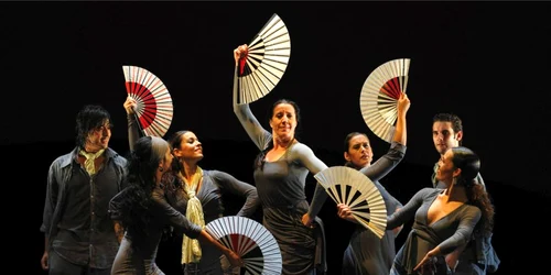 Flamenco este un dans tradiţional spaniol