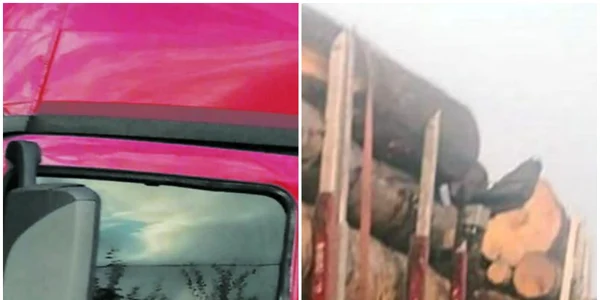 Primar depistat ca transporta ilegal lemne jpg