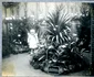 Prima expoziție horticolă organizată în România (© ANR, SANIC, colecția Documente Fotografice, album 9)