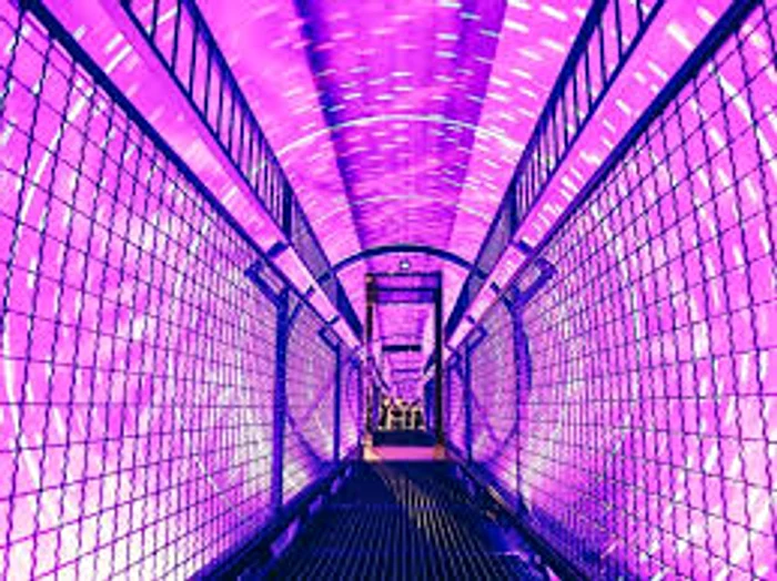 Muzeul Simțurilor din București Foto: FB