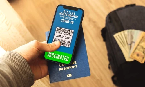 1 shutterstock 1933474136 jpg jpeg