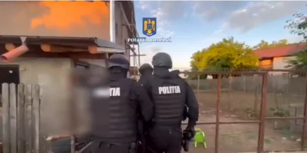 perchezitii prahova furt lemne