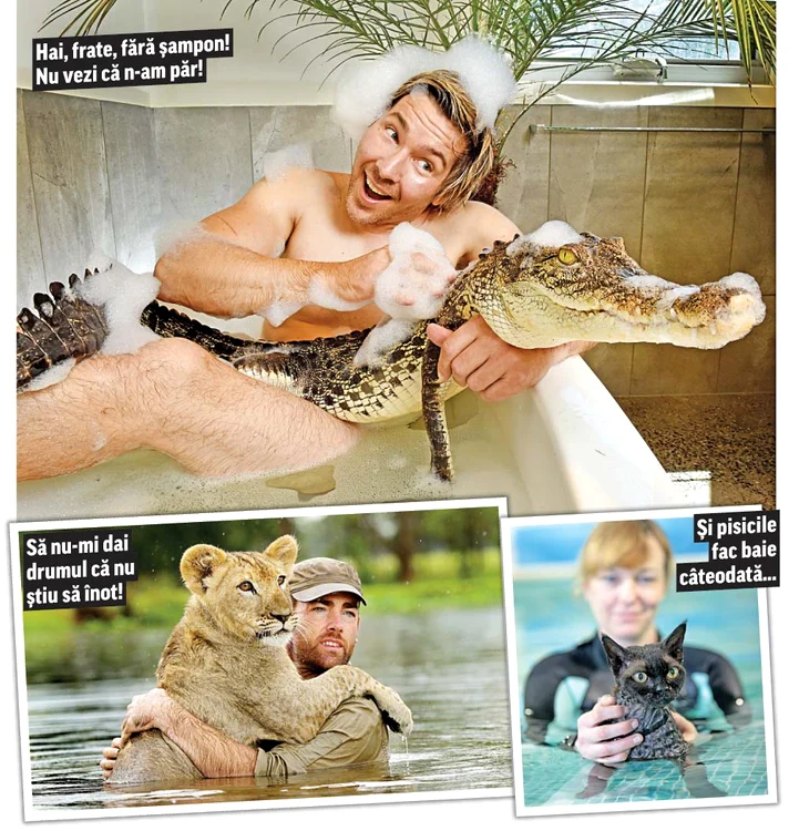 
    Felinelor nu le place apaFoto: Guliver/Rexfeatures  