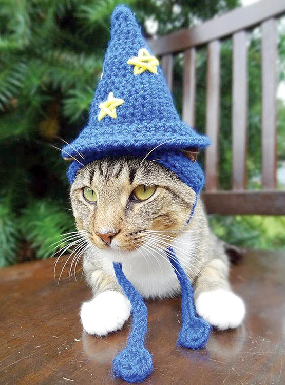 “Aşa-mi şade cel mai bine”