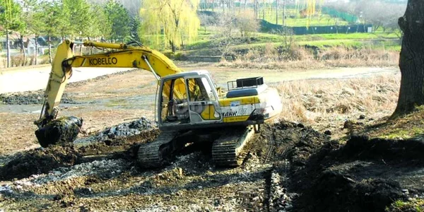 Parc agrement. FOTO Danut Zuzeac