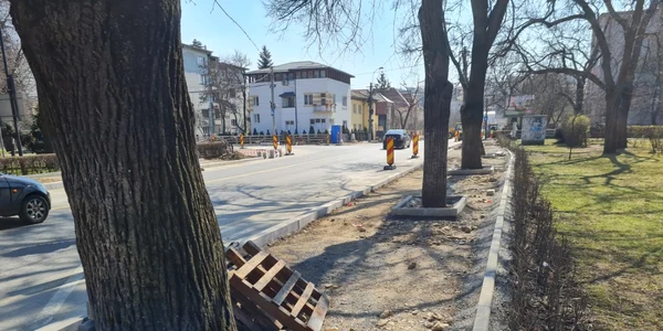 pomi in mijlocul trotuarului cluj