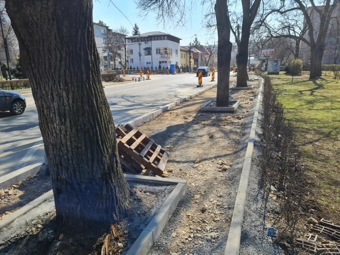 pomi in mijlocul trotuarului cluj