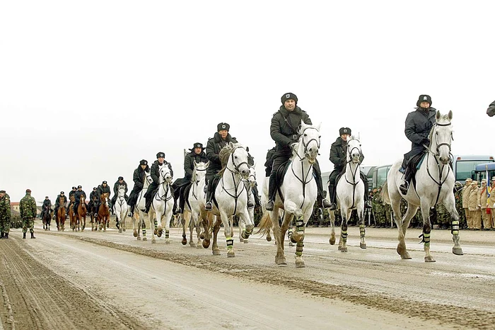 Unitatea Călare a Poliției Locale București este formată din 25 de agenți