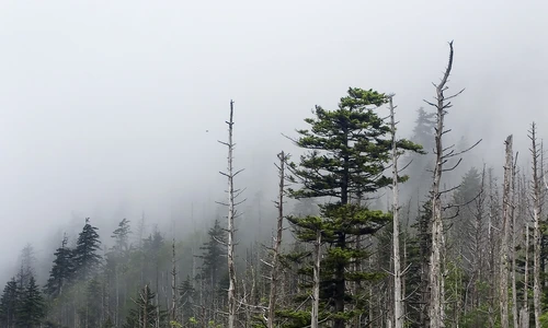 1 shutterstock 52848725 jpg jpeg