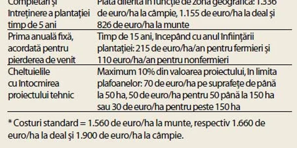 info