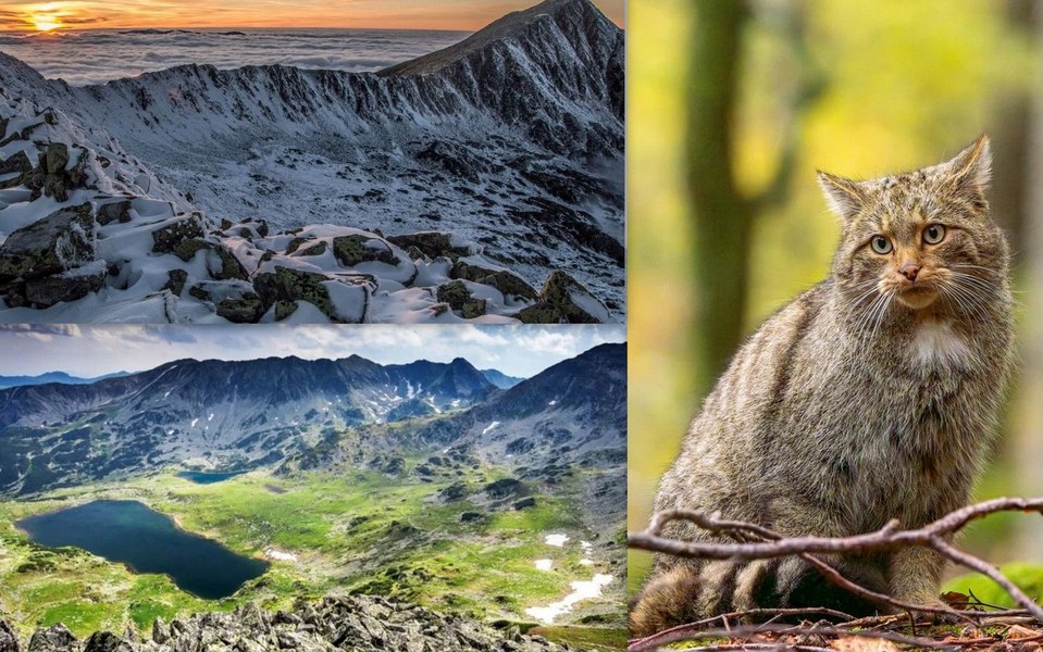 Retezat, cel mai vechi parc național din România, are 89 de ani. Tărâmul fascinant care i-a uimit pe savanți VIDEO FOTO