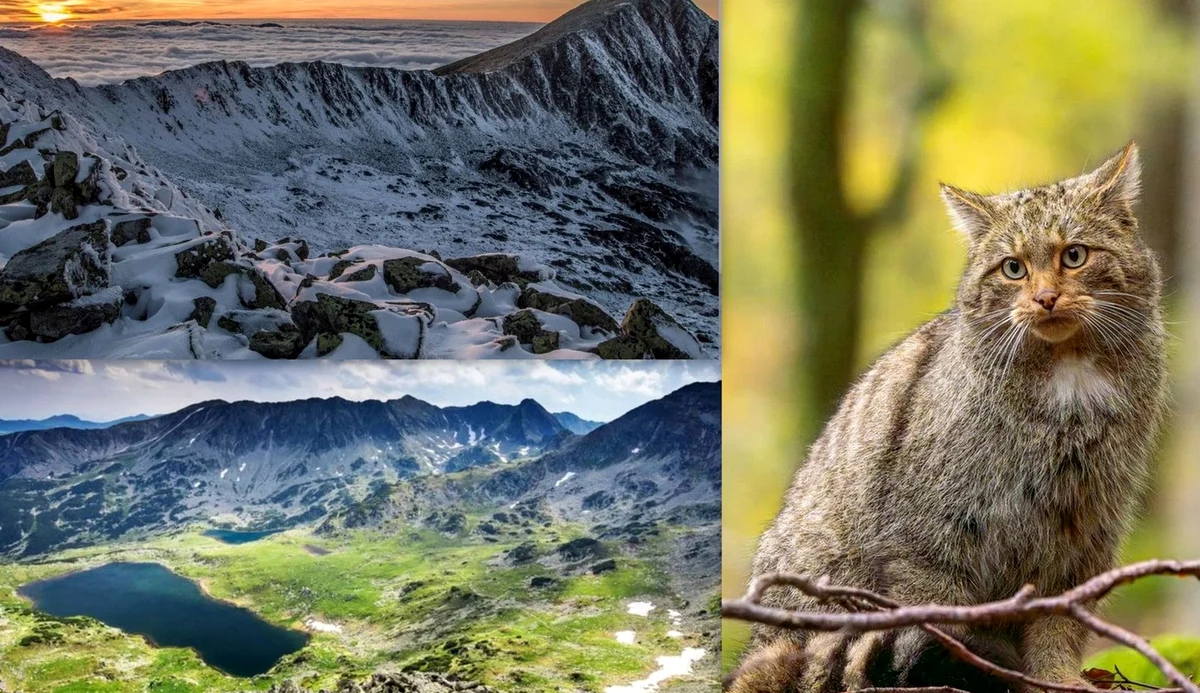Retezatul, Colaj - Fotografii: Lucia Ursu (ANPR), Marius Turc, Lucian Ignat.