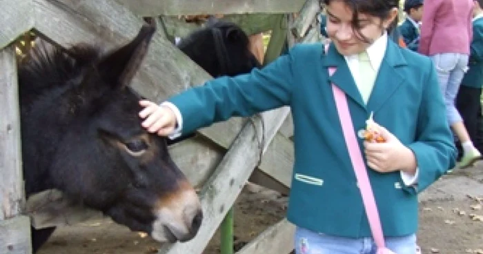 Galaţi: Poftiţi la Zoo, la Gârboavele