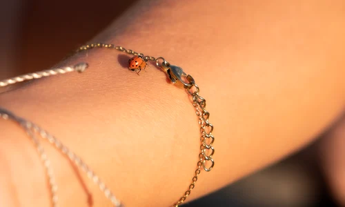 historia guillermo latorre S3ldsehZDZQ unsplash jpg