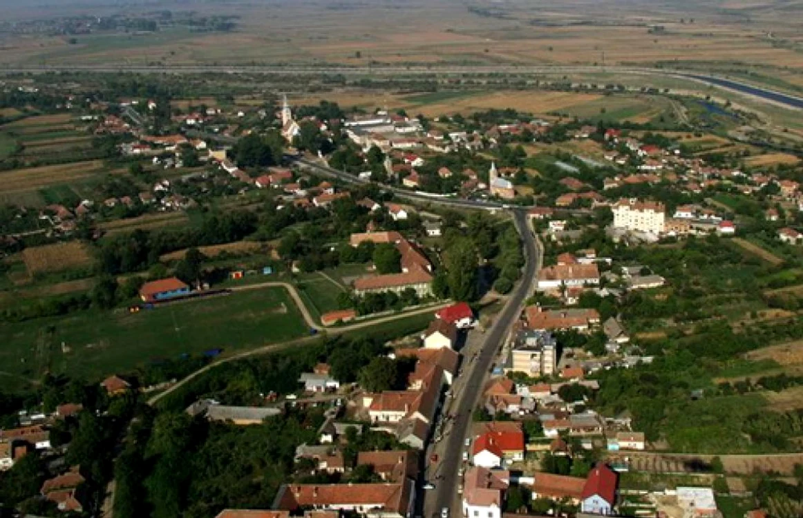 radu afrim copilarie