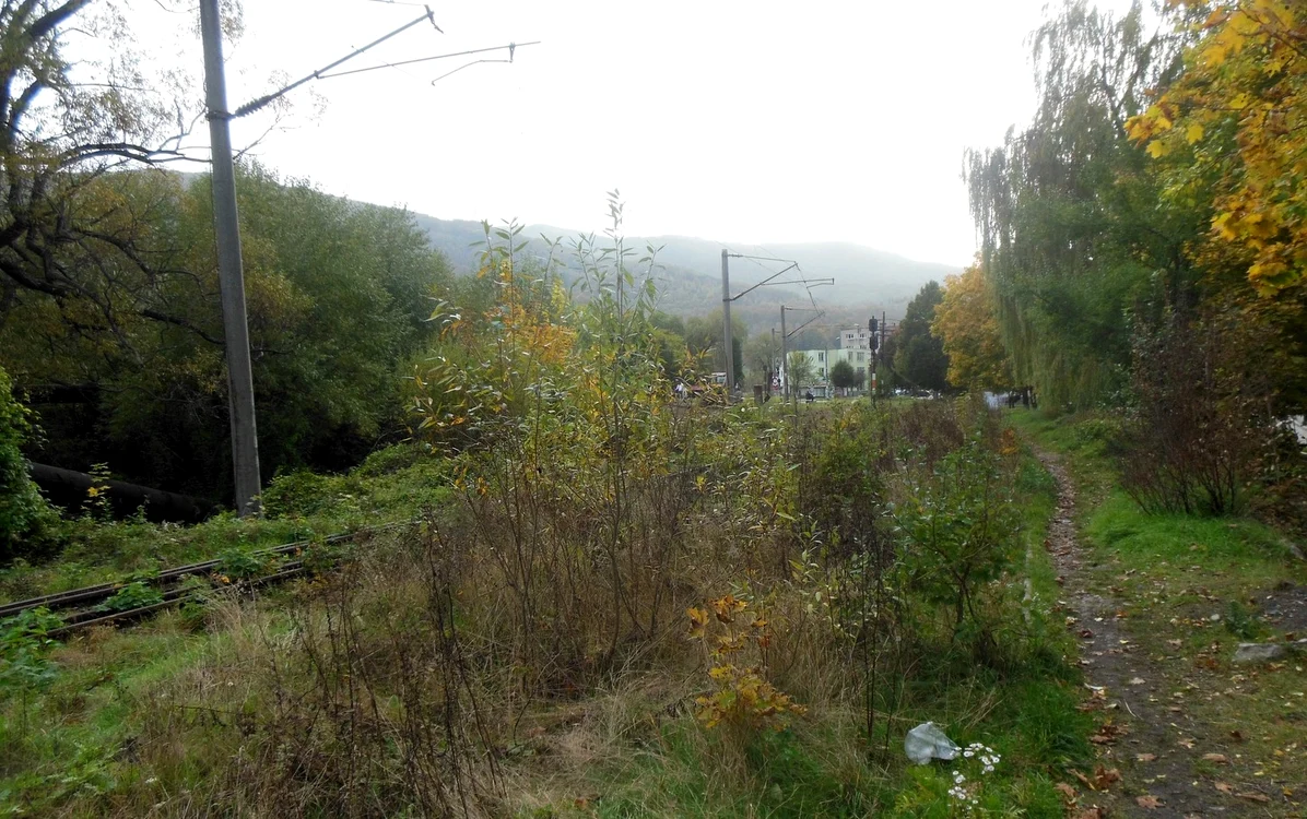 Calea ferată din Lupeni, ascunsă în vegetație. Foto: Iosif Bodo. 