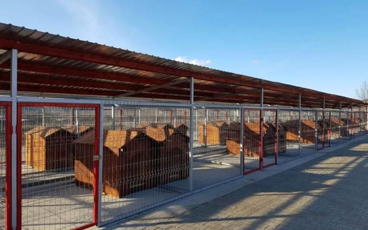 Adăpostul pentru câini vagabonzi al Primăriei Aiud