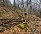 Cetatea dacică Fețele Albe Foto Daniel Guță ADEVĂRUL (57) jpg