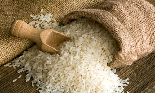 1 78035 original jpg jpeg