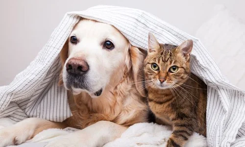 1 shutterstock 1544993138 jpg jpeg