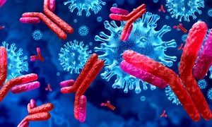 1 shutterstock 1704493129 jpg jpeg