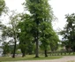 manastire zoo bistrita 8