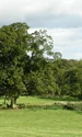 countryside 491182 1280 jpg