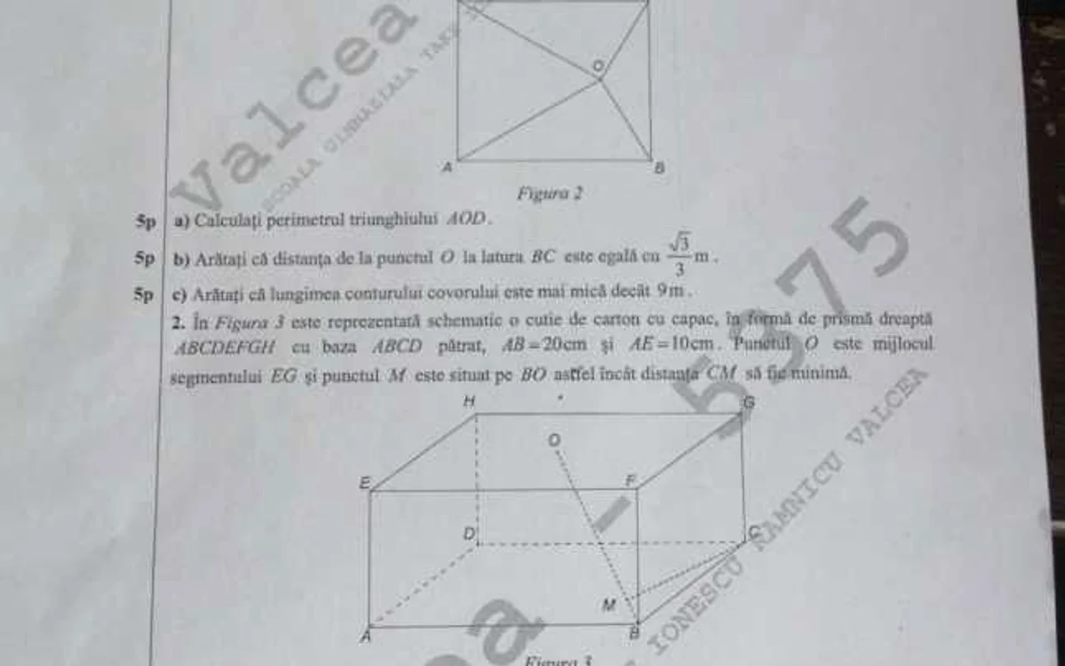 subiecte mate capacitate