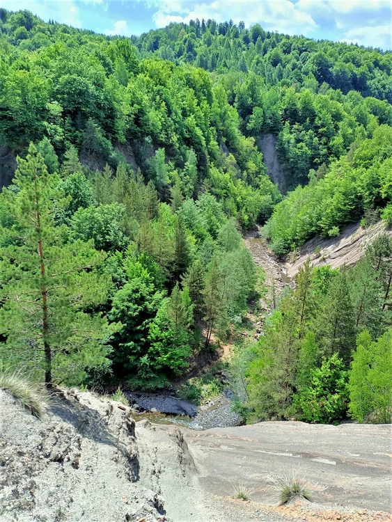 Rezervația Strâmtura Cozei: FOTO: RNP