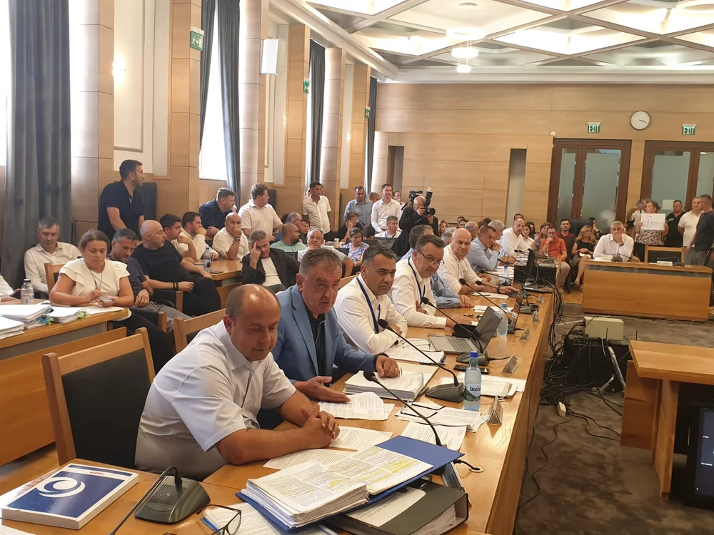 Pădurea Trivale a creat discuții aprinse în Consiliul Local Pitești Foto: A.V: