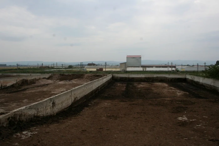 Spaţiul de depozitare al deşeurilor de la Aviputna  FOTO: Ştefan Borcea