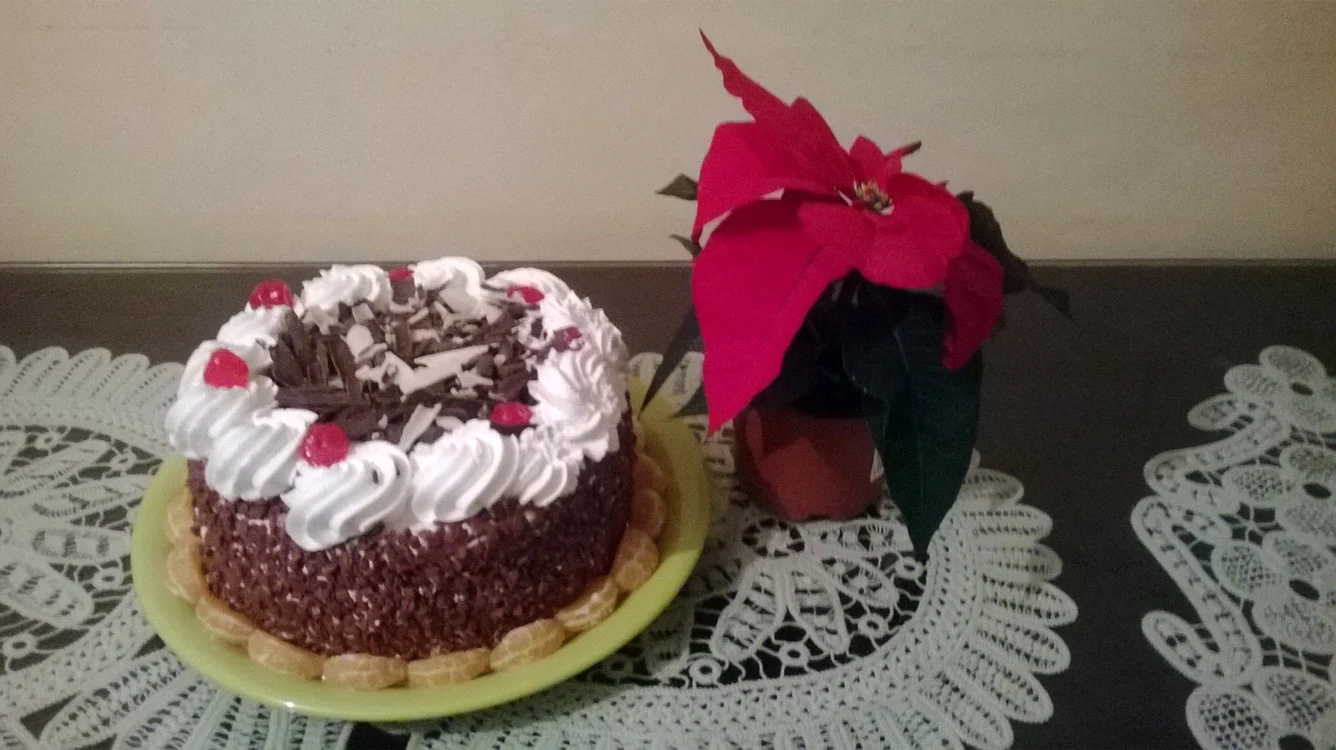 
    Tort «Pădurea Neagră»  