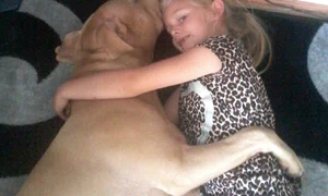 pitbull mpm dog gave me criminal record 15 jpeg