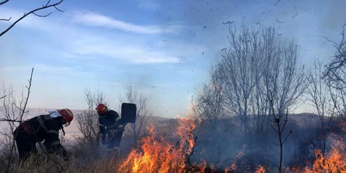 incendiu niculitel foto isu delta