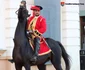 Garda austriacă la Timișoara FOTO Asociatia Eugeniu de Savoya