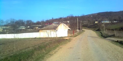 primaria cretesti
