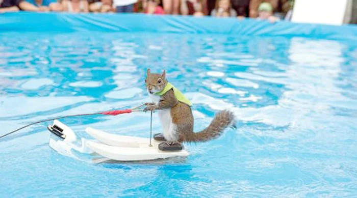 
    Foto: Guliver, Rexfeatures  