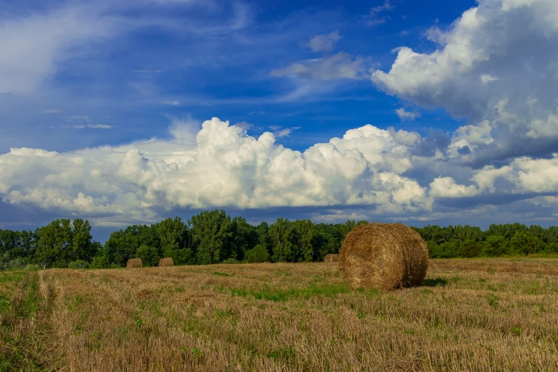 vara camp agricol lan secerat balot paie august foto shutterstock