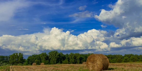 vara camp agricol lan secerat balot paie august foto shutterstock