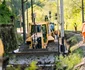 Calea ferată Simeria Petroșani Foto CFR Infrastructură Timișoara (4) jpg