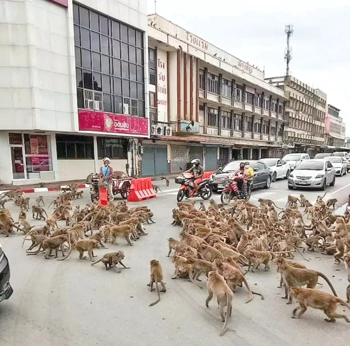 Americanul a folosit 1.600 de seturi diferite de figurine