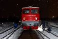 703531mare jpg
