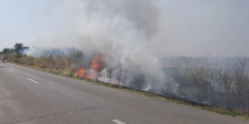 slobozia incendii de vegetatie uscata foto isu ialomita