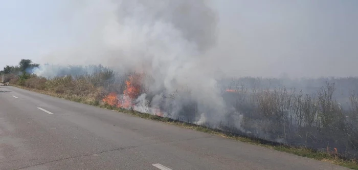 Incendiile au cuprins o suptafaţă mare de teren FOTO ISU Ialomiţa