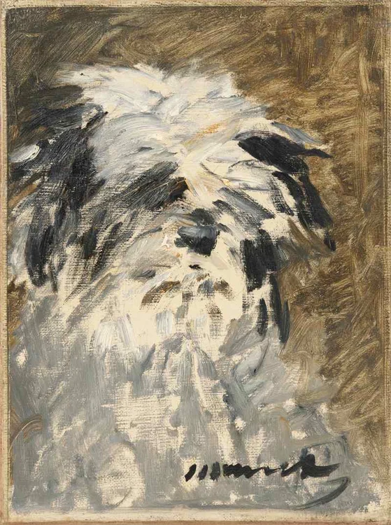 manet jpg jpeg
