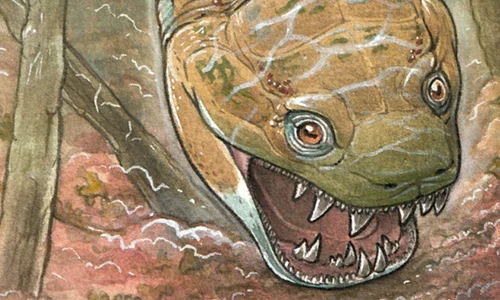 Gaiasia jennyae png