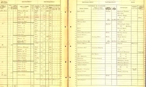 Recensământul Scoţiei din 1911, disponibil online jpeg